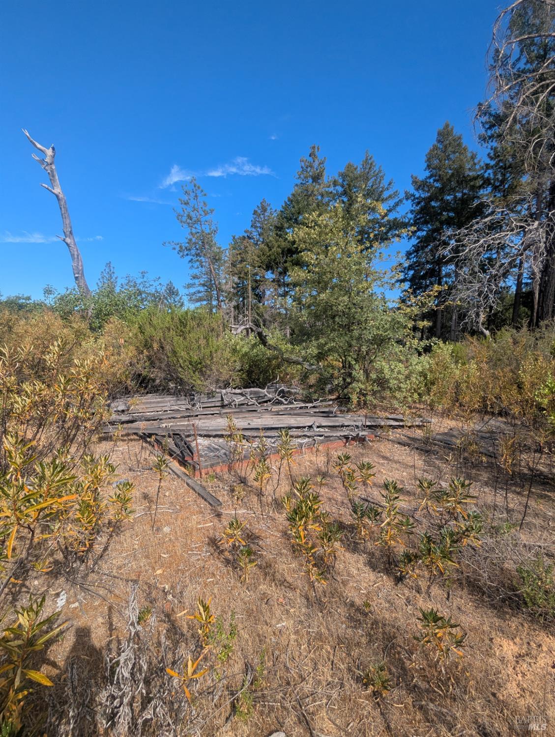 16351 Gibson Lane Potter Valley CA 95469