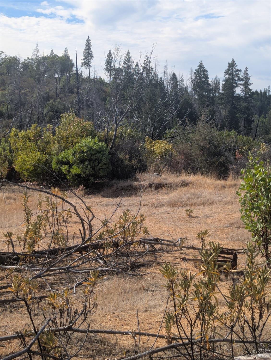16351 Gibson Lane Potter Valley CA 95469