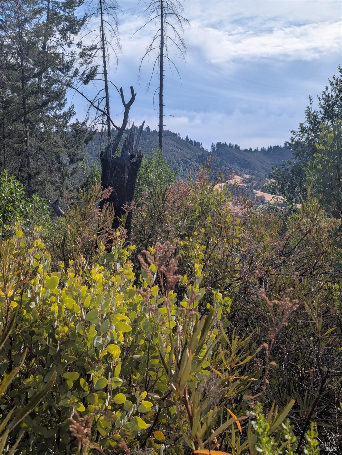16351 Gibson Lane Potter Valley CA 95469