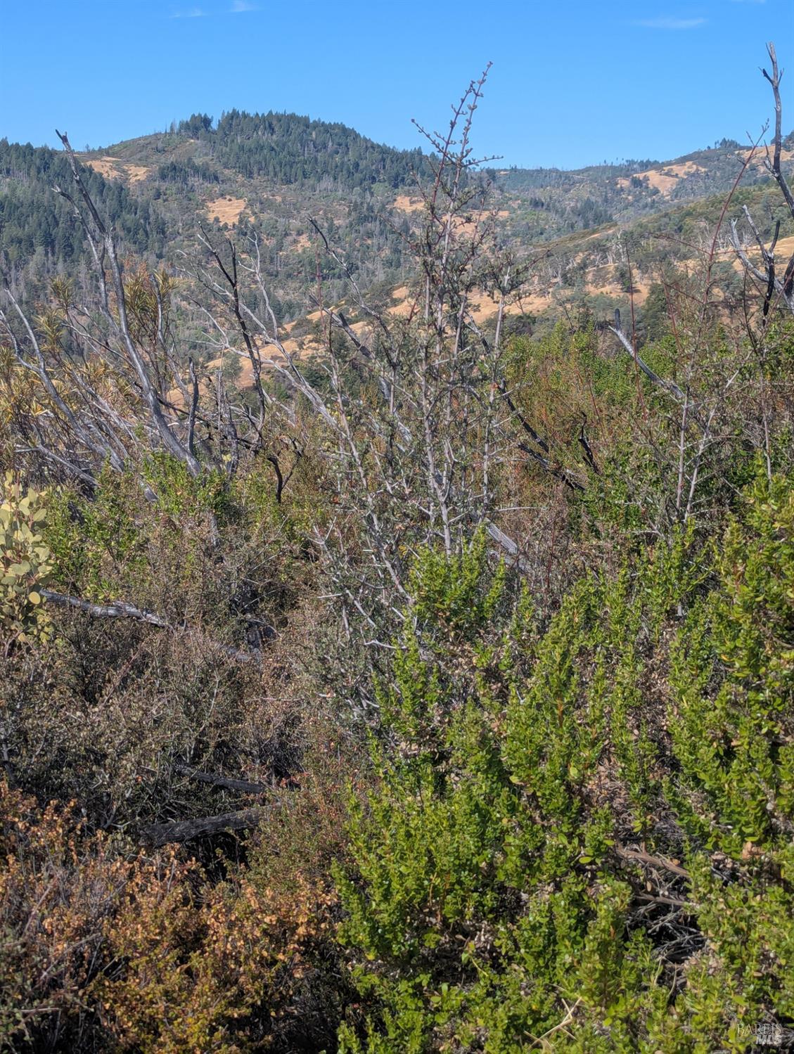 16351 Gibson Lane Potter Valley CA 95469