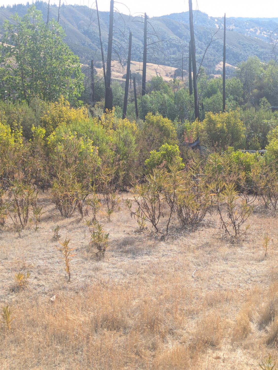 16351 Gibson Lane Potter Valley CA 95469