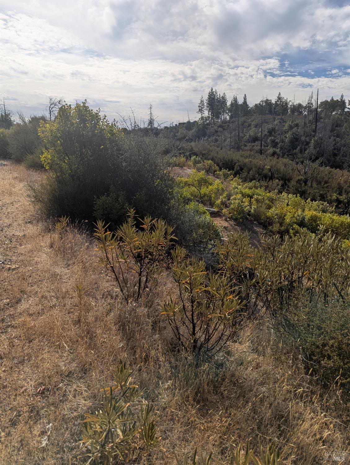 16351 Gibson Lane Potter Valley CA 95469