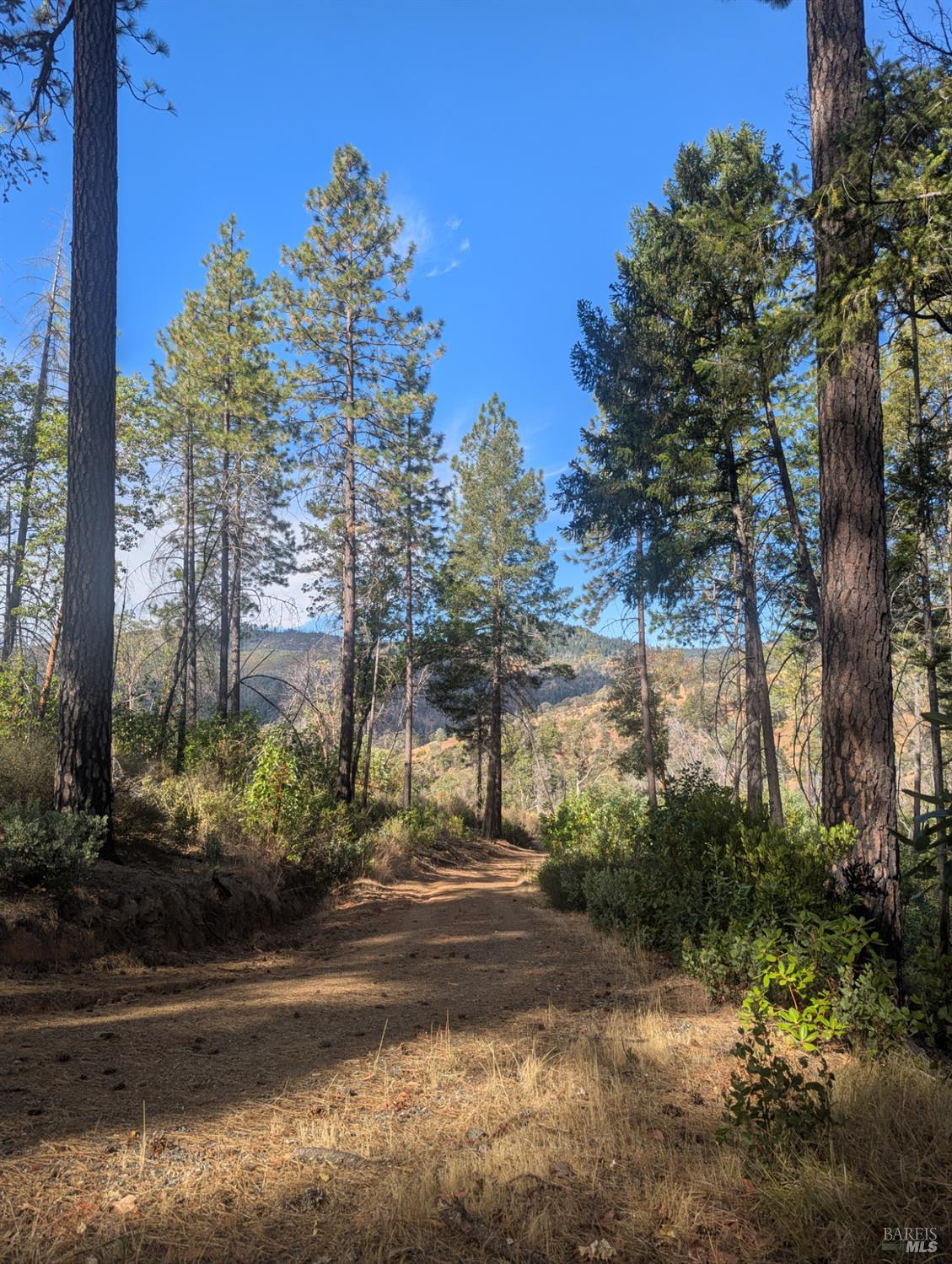 16351 Gibson Lane Potter Valley CA 95469
