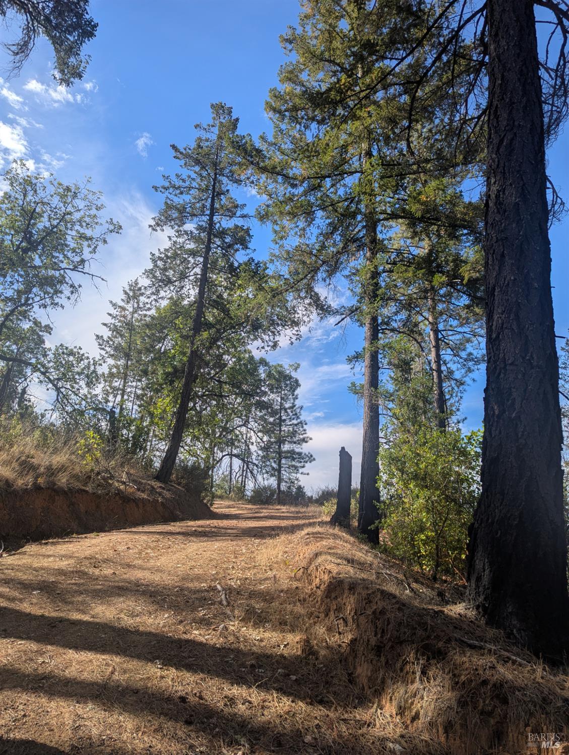 16351 Gibson Lane Potter Valley CA 95469