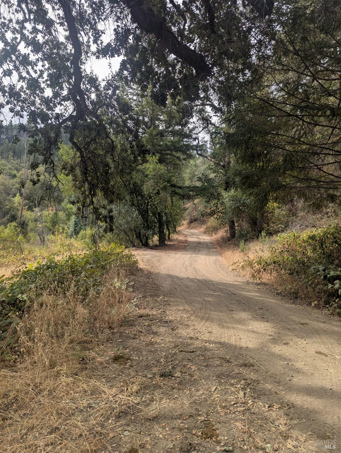 16351 Gibson Lane Potter Valley CA 95469