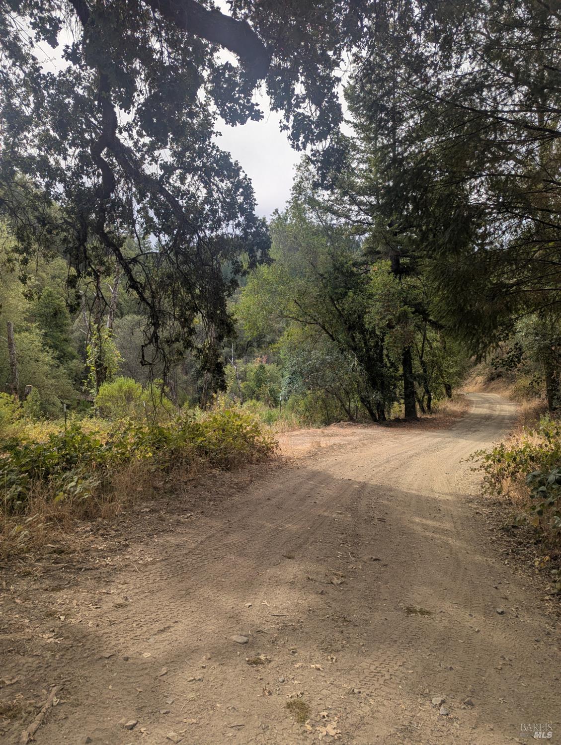 16351 Gibson Lane Potter Valley CA 95469