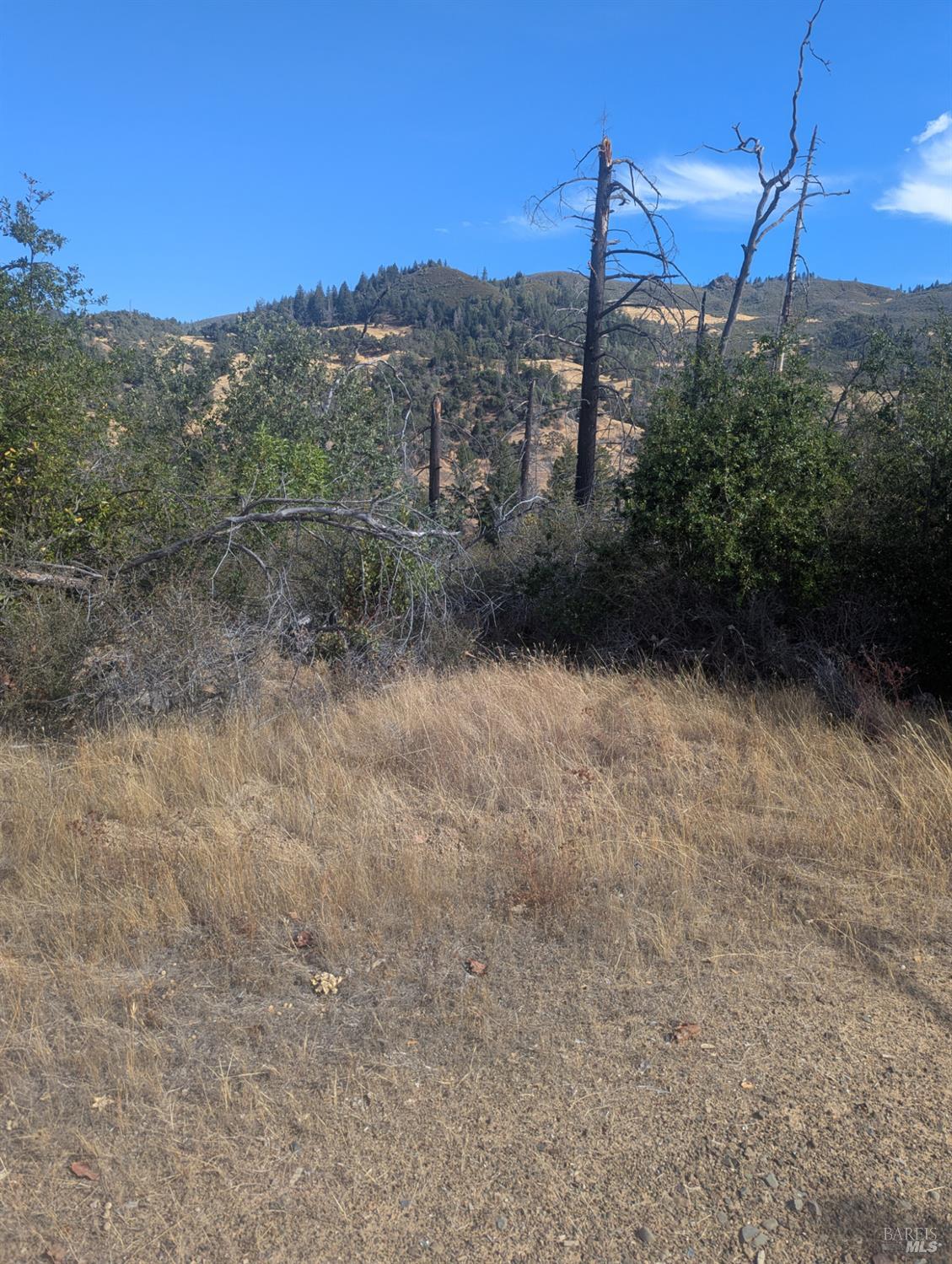 16351 Gibson Lane Potter Valley CA 95469
