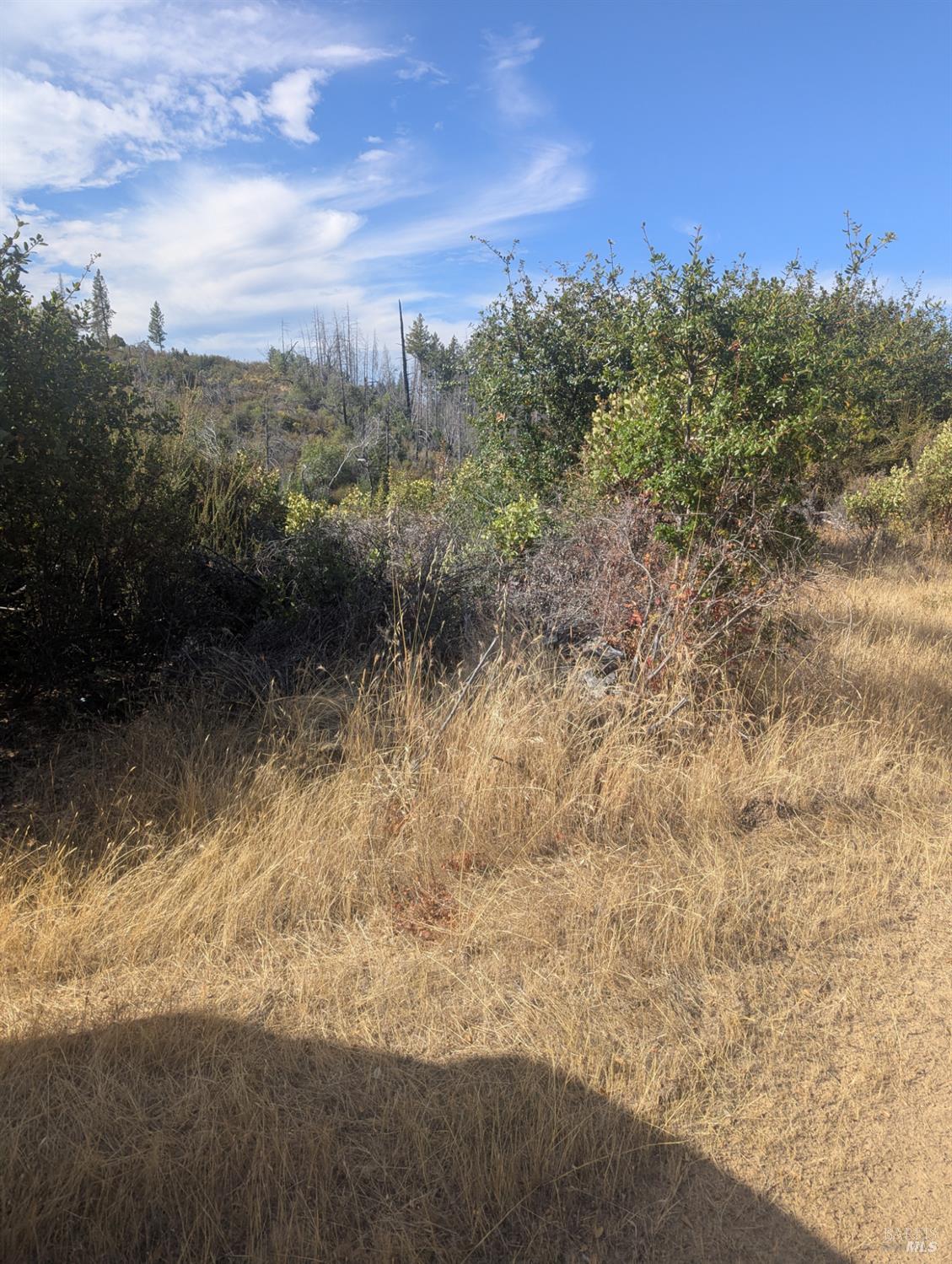16351 Gibson Lane Potter Valley CA 95469