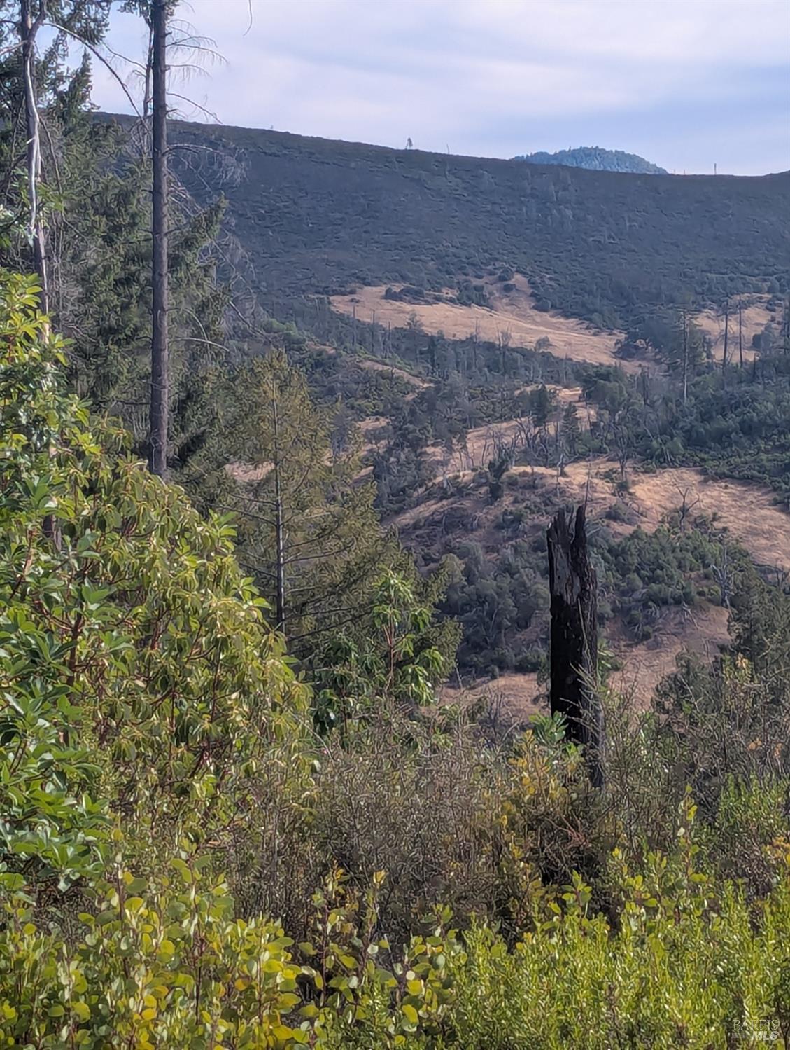 16351 Gibson Lane Potter Valley CA 95469