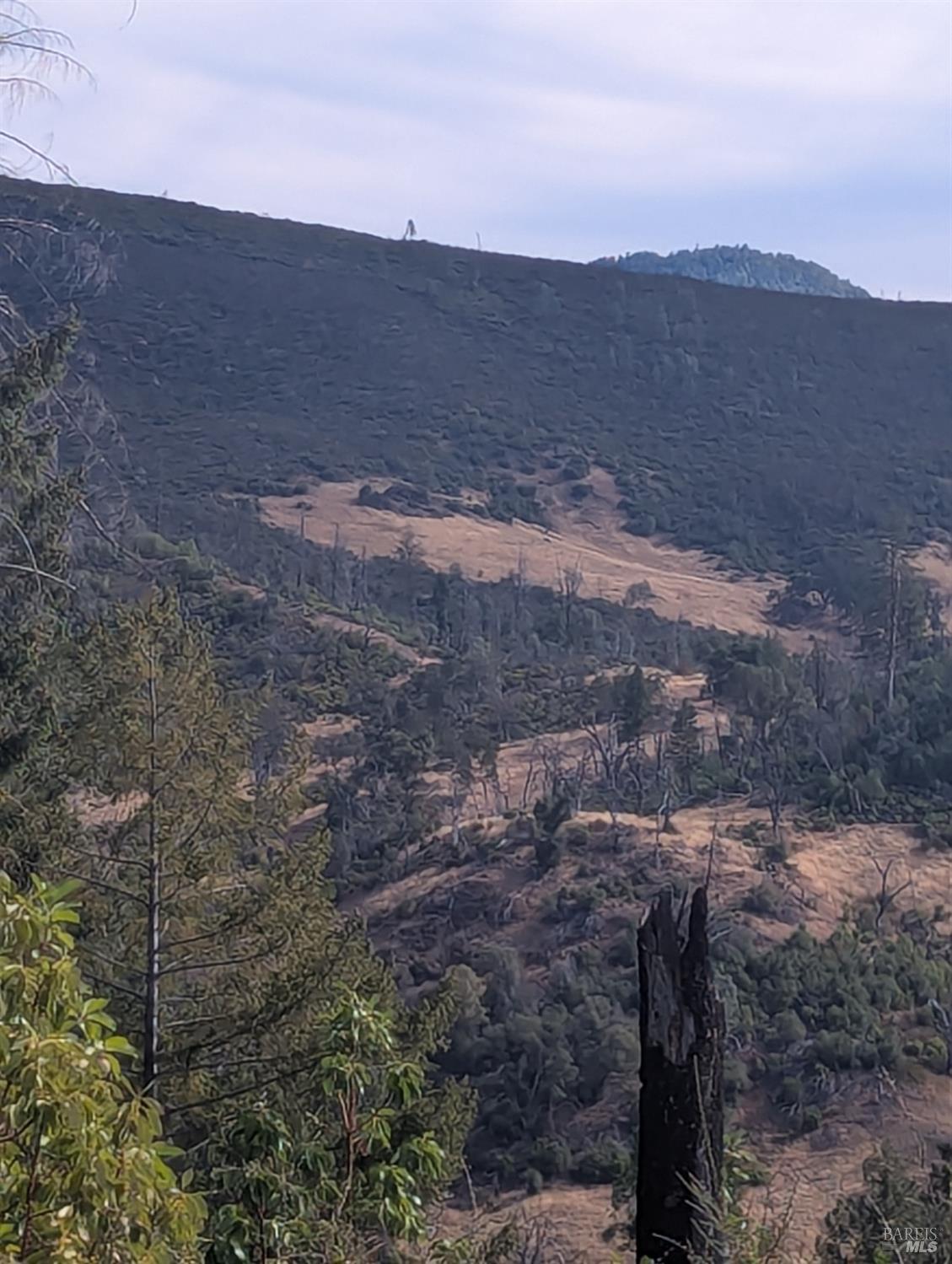 16351 Gibson Lane Potter Valley CA 95469