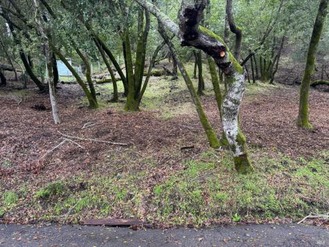 0 Cypress Drive Fairfax CA 94930