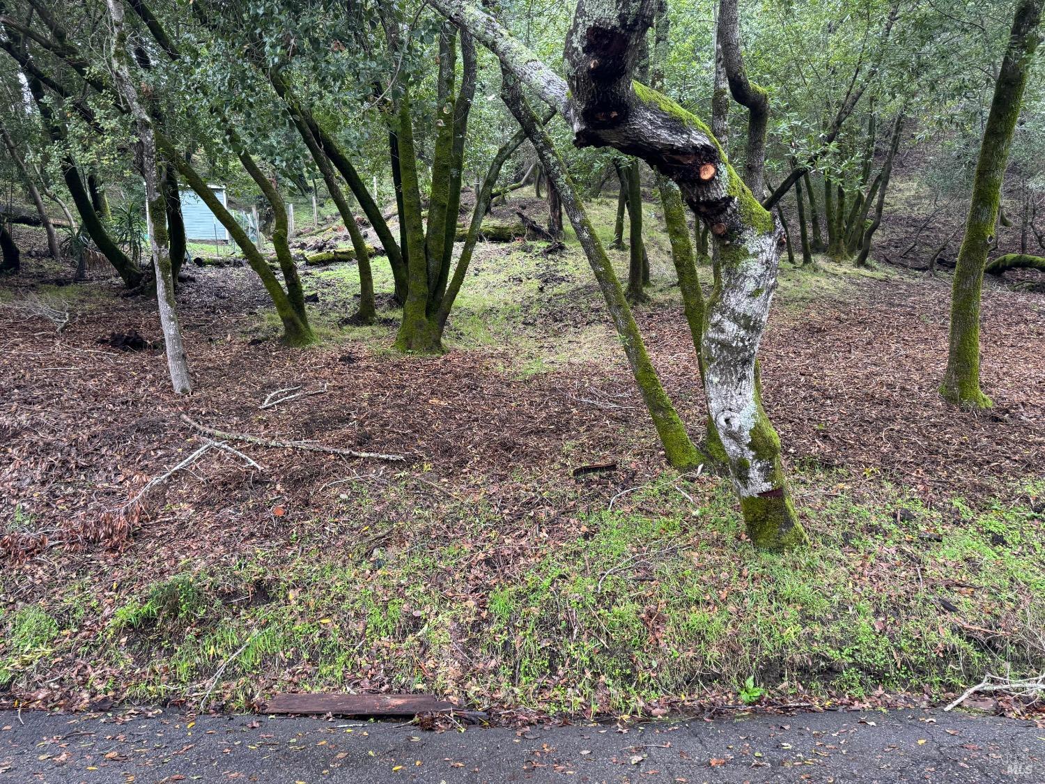 0 Cypress Drive Fairfax CA 94930