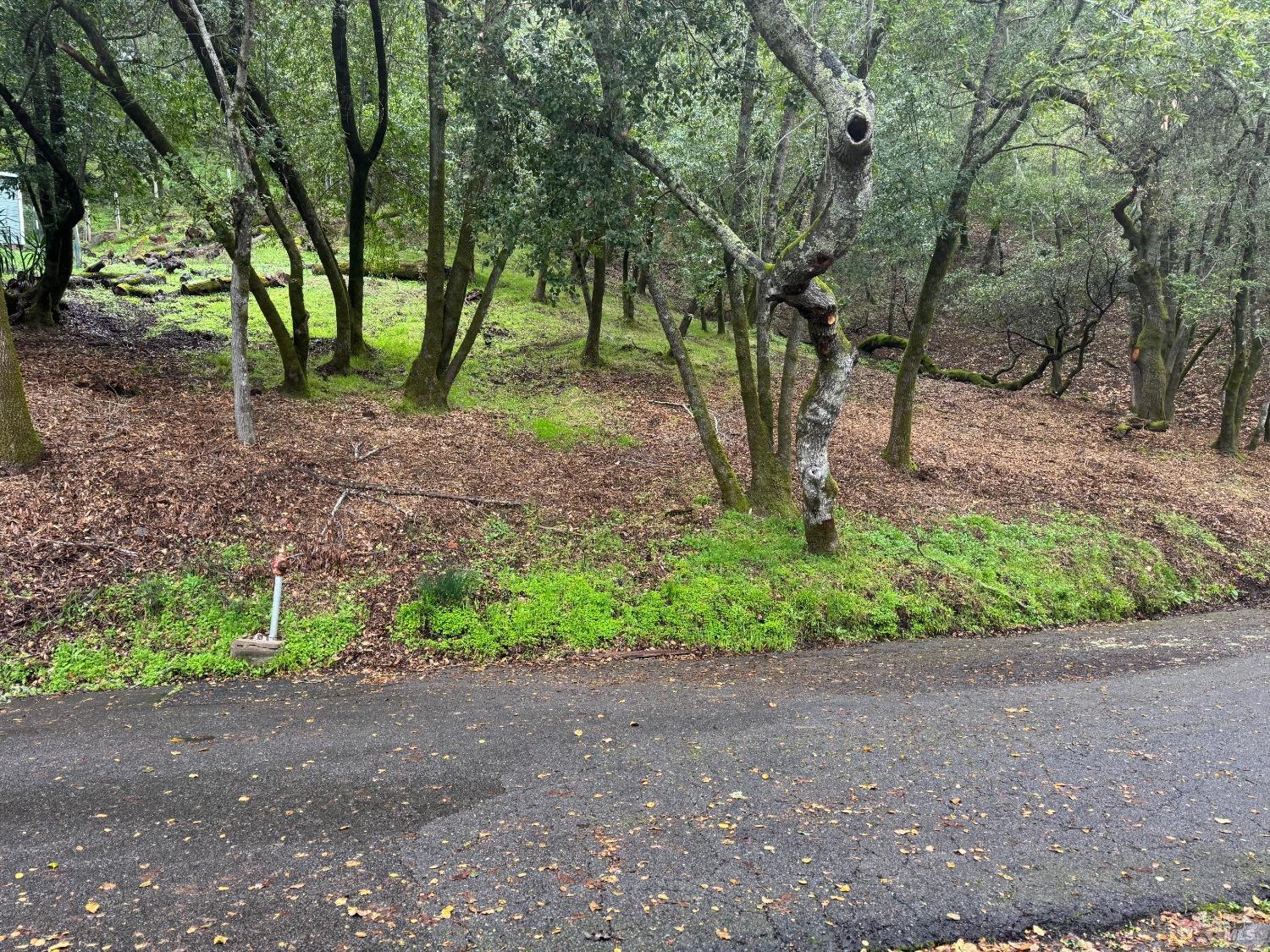0 Cypress Drive Fairfax CA 94930