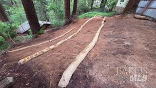 21473 Bonita Terrace Monte Rio CA 95462