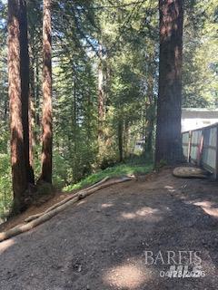 21473 Bonita Terrace Monte Rio CA 95462