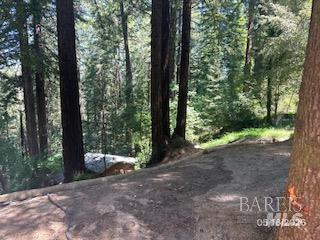21473 Bonita Terrace Monte Rio CA 95462