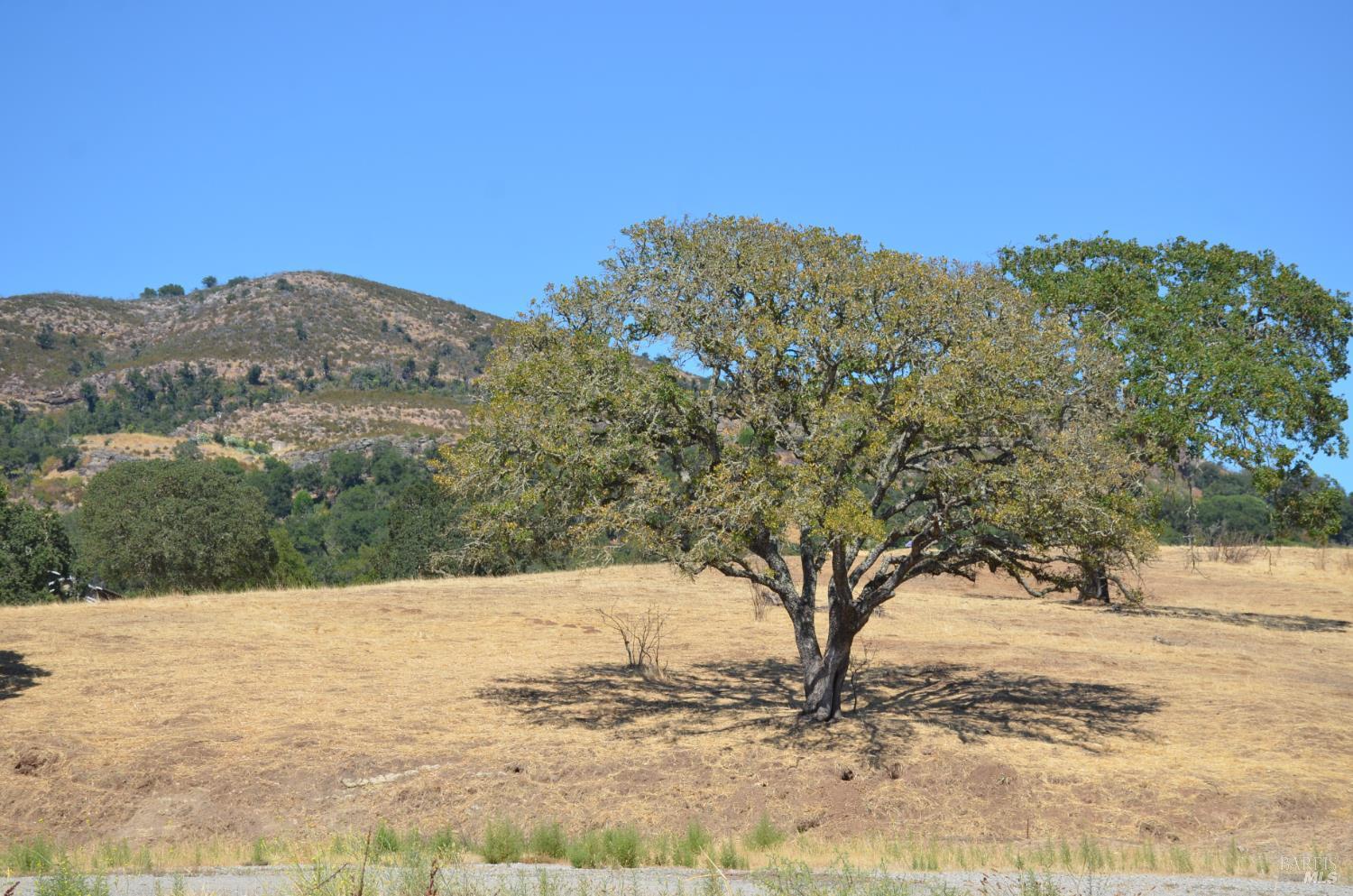 2186 Monticello Road Napa CA 94558