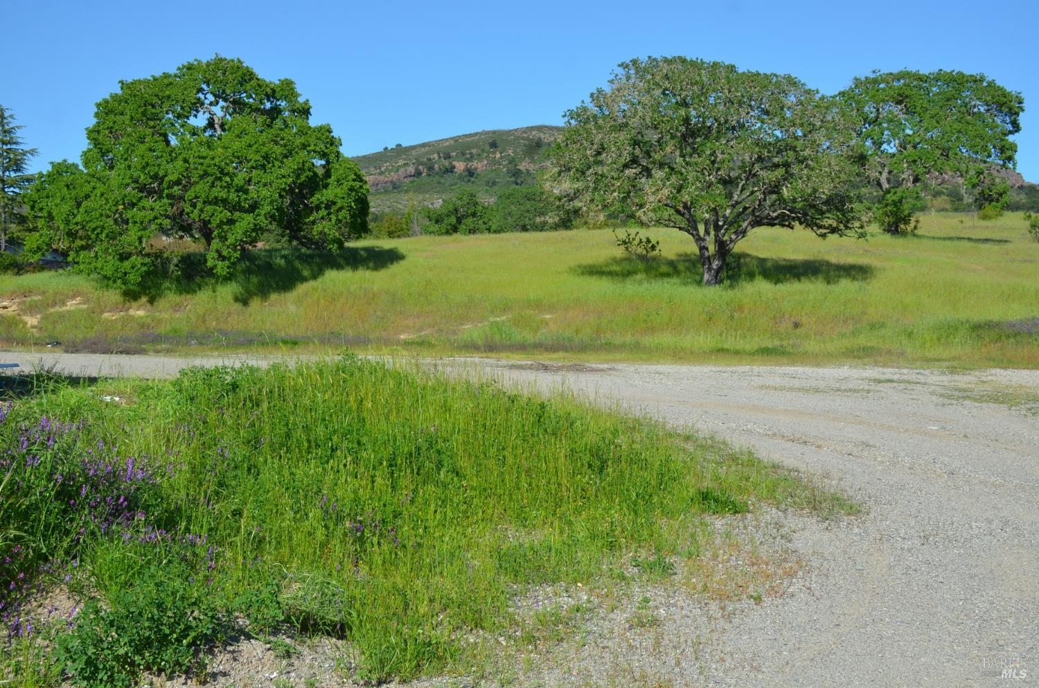 2186 Monticello Road Napa CA 94558