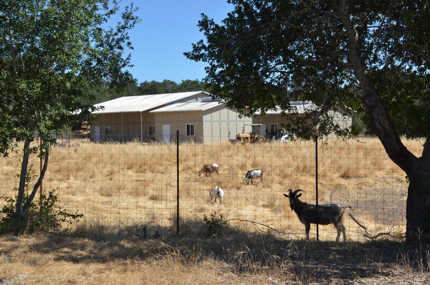 2186 Monticello Road Napa CA 94558