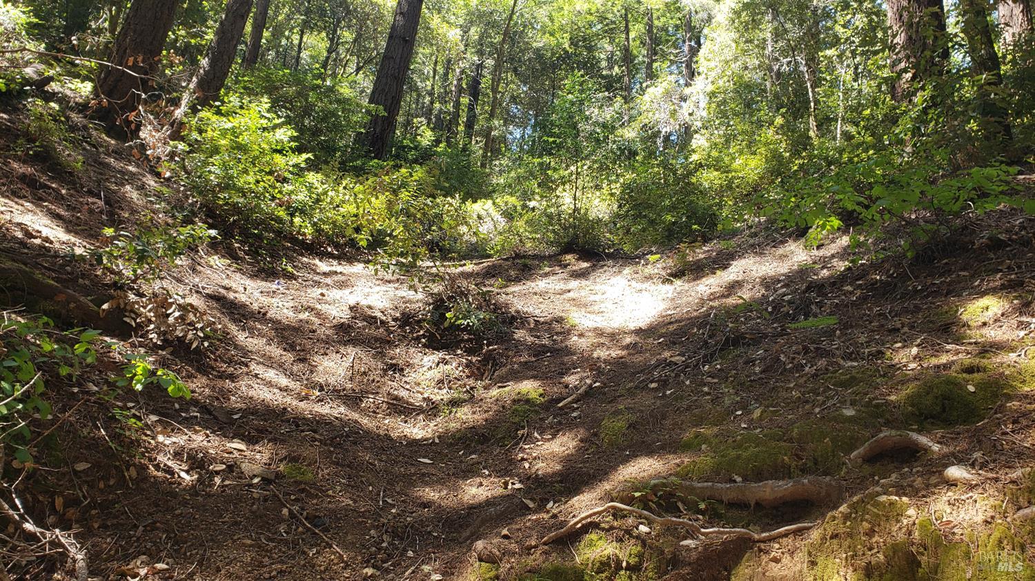 18190 Old Monte Rio Road Guerneville CA 95446
