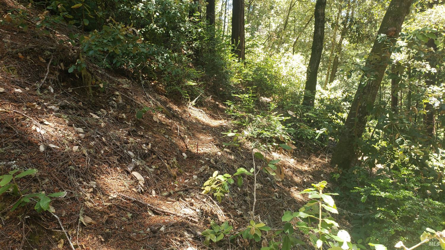 18190 Old Monte Rio Road Guerneville CA 95446