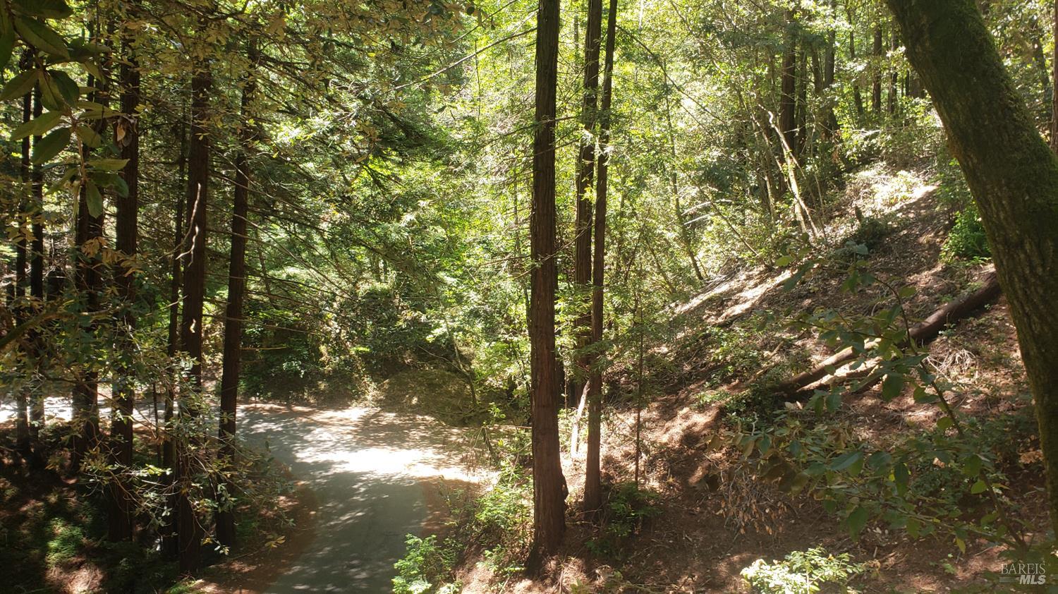 18190 Old Monte Rio Road Guerneville CA 95446