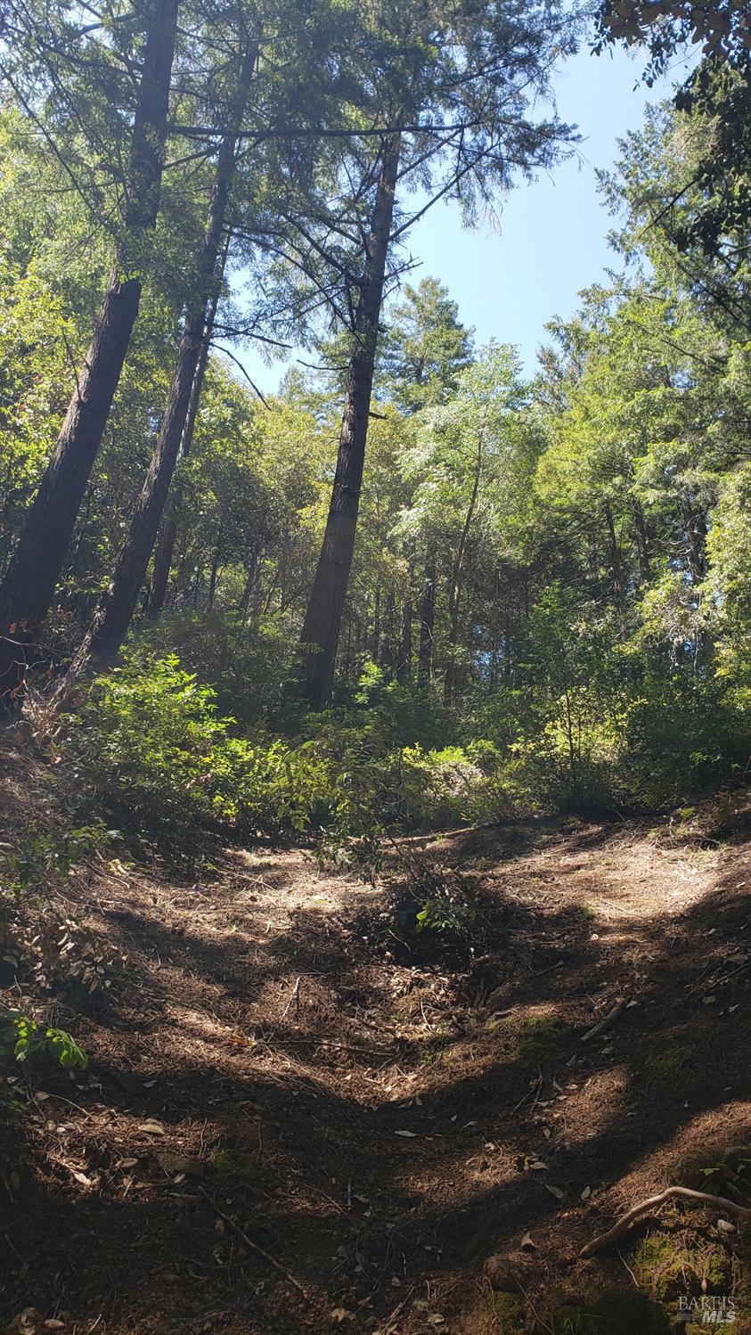 18190 Old Monte Rio Road Guerneville CA 95446