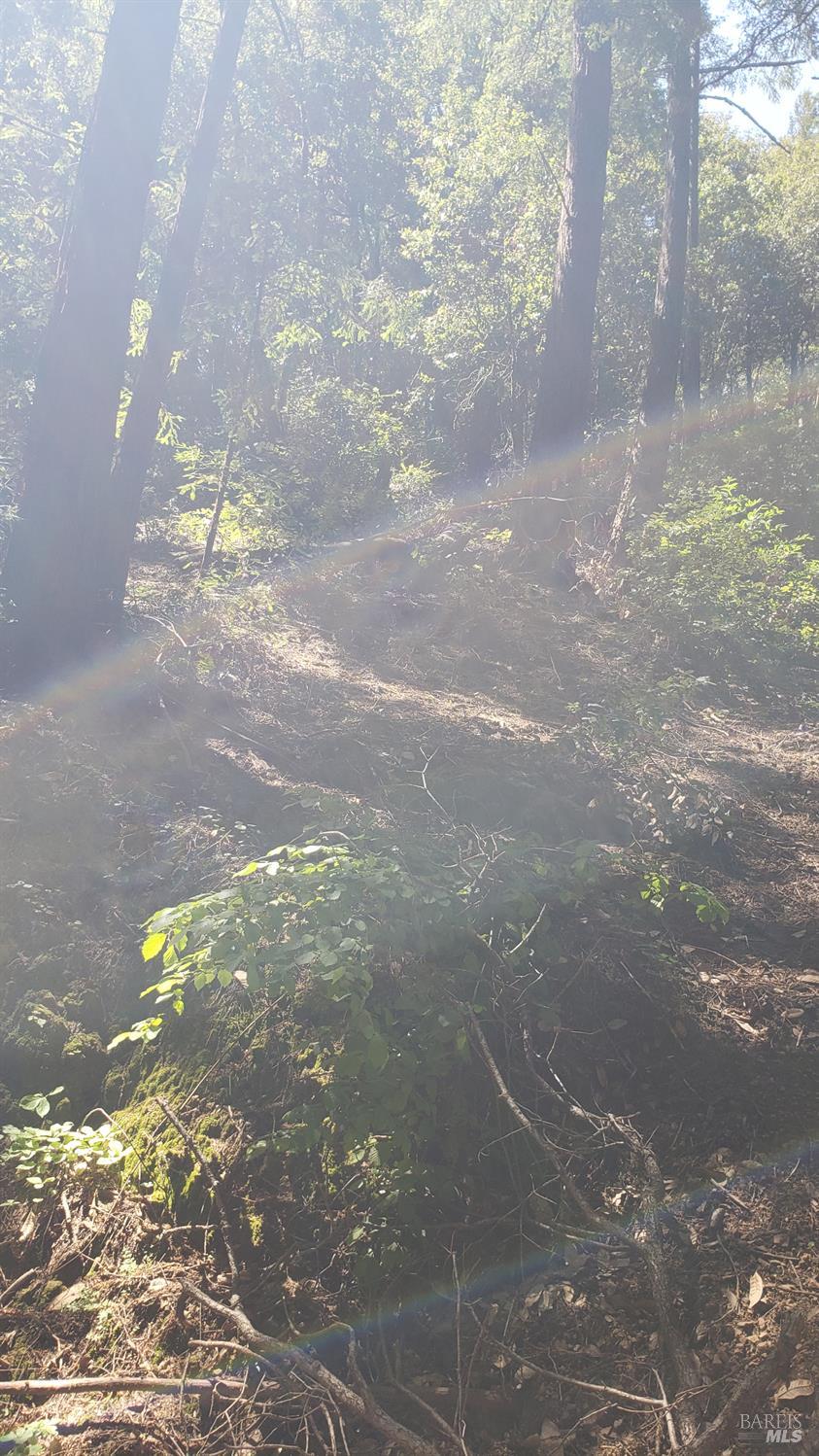 18190 Old Monte Rio Road Guerneville CA 95446
