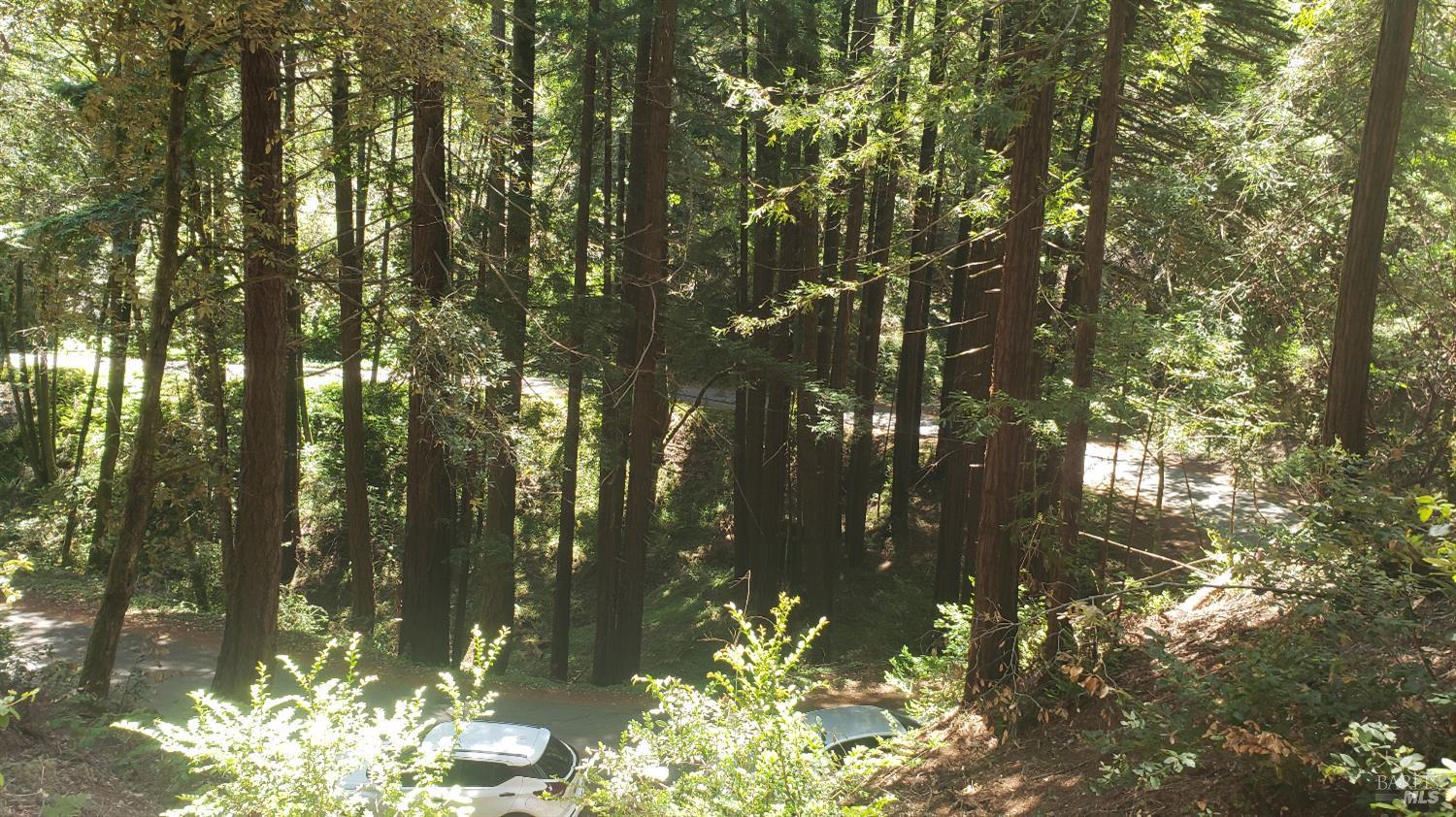 18190 Old Monte Rio Road Guerneville CA 95446