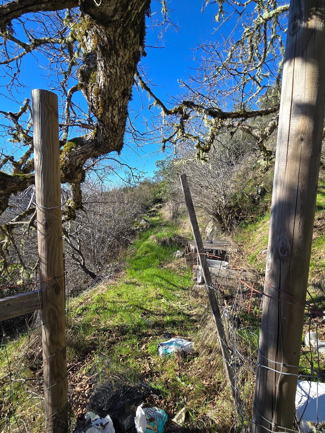 16191 Ridgeview Road Willits CA 95490