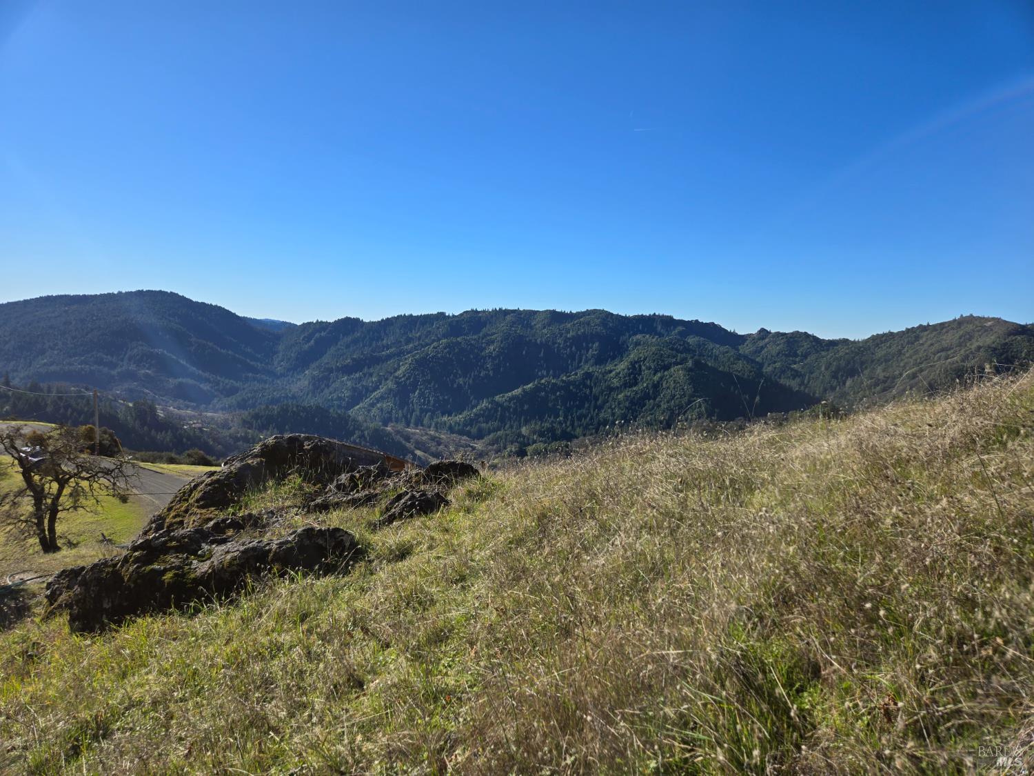 16191 Ridgeview Road Willits CA 95490