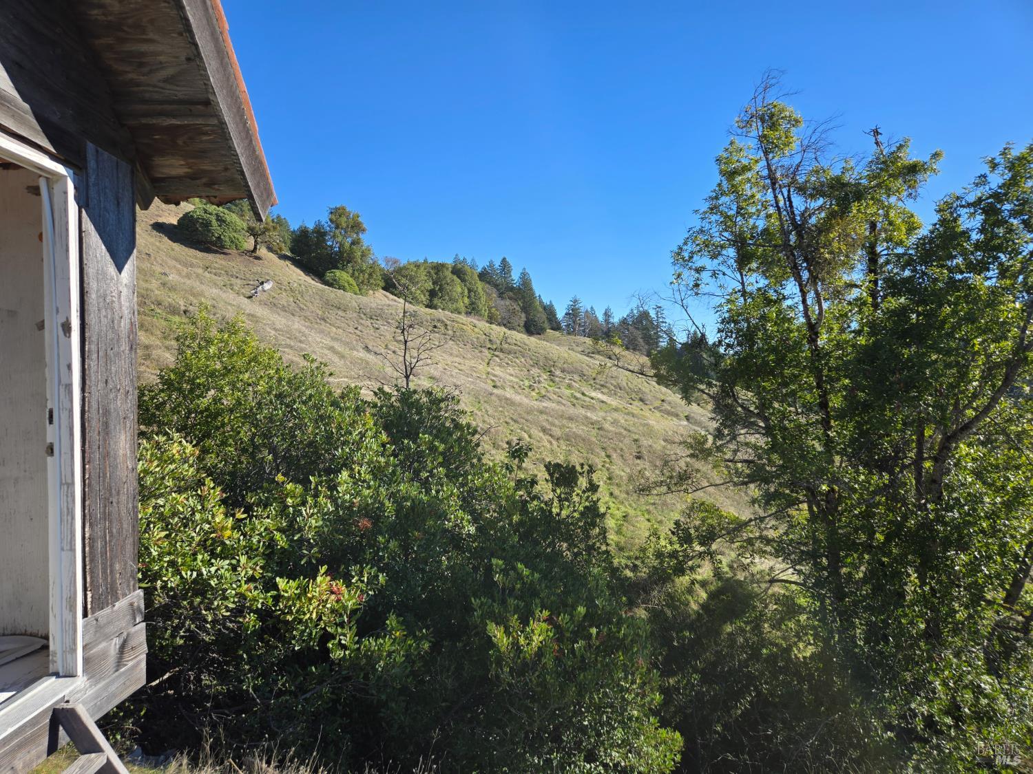 16191 Ridgeview Road Willits CA 95490