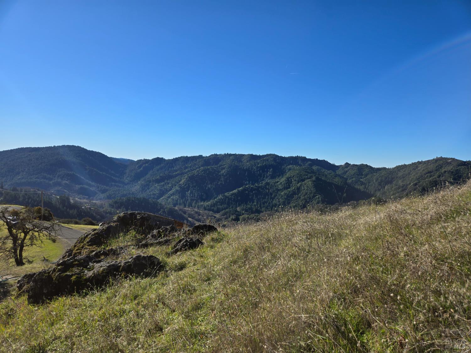 16191 Ridgeview Road Willits CA 95490