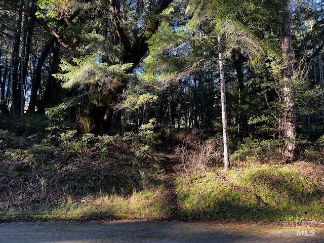 24419 Cypress Drive Willits CA 95490