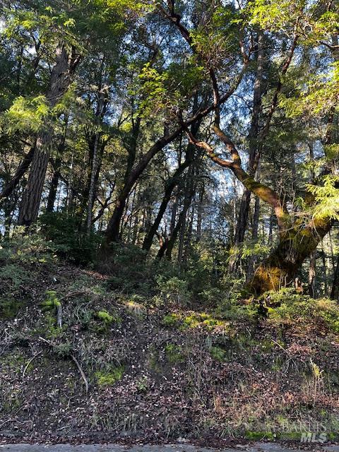24419 Cypress Drive Willits CA 95490