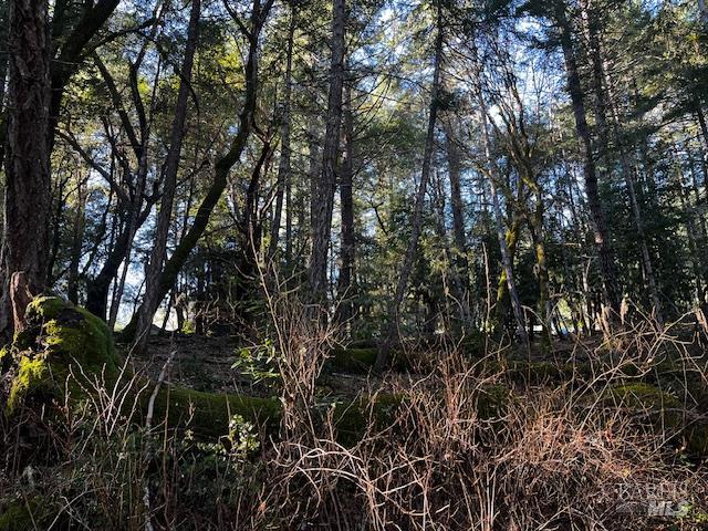 24419 Cypress Drive Willits CA 95490
