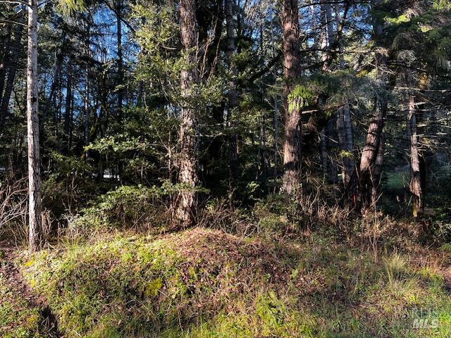 24419 Cypress Drive Willits CA 95490