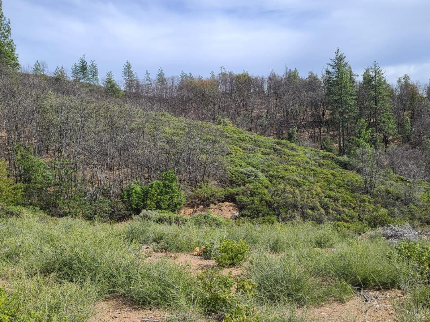 47700 Bentley Ridge Road Covelo CA 95428