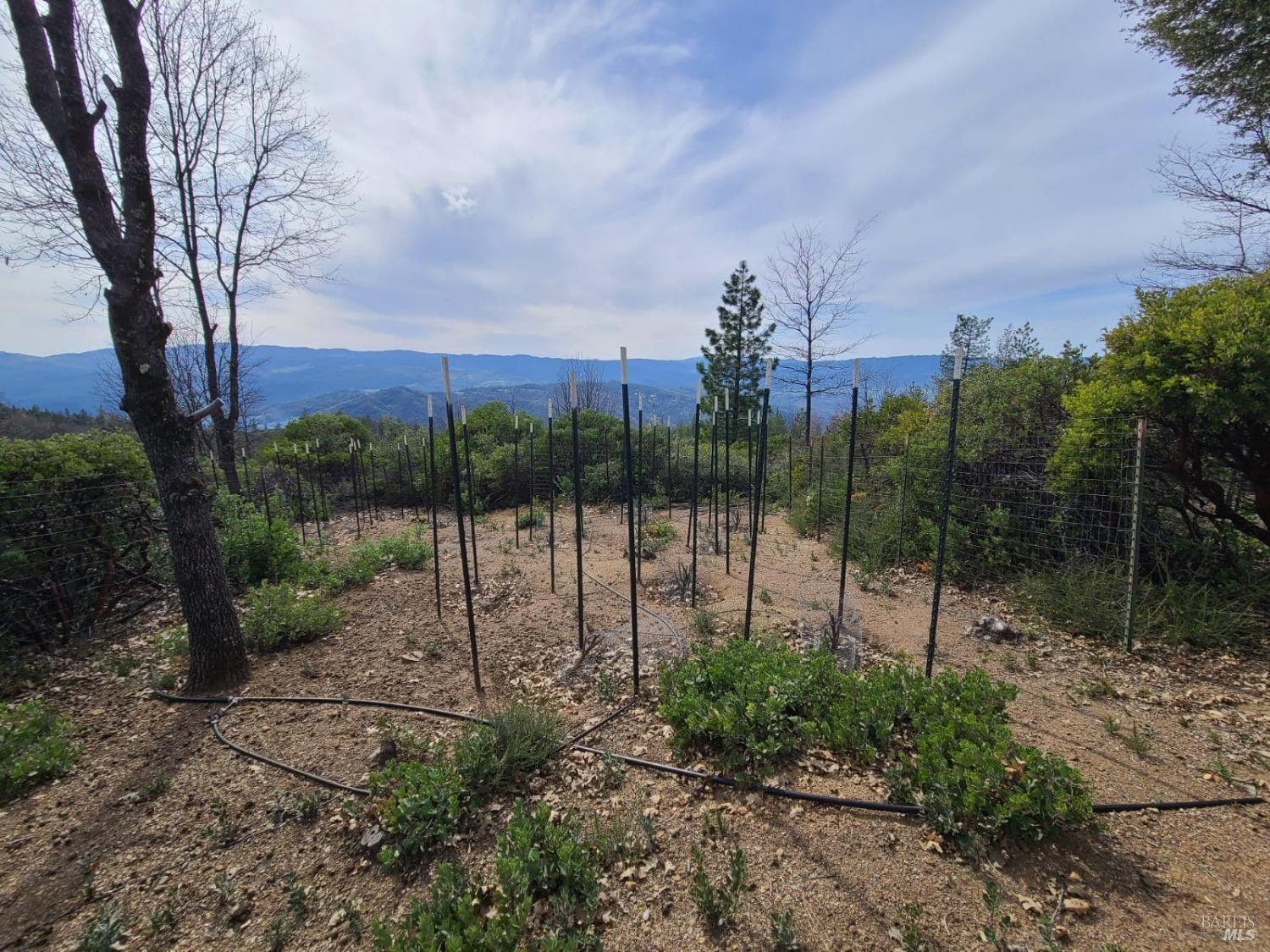 47700 Bentley Ridge Road Covelo CA 95428
