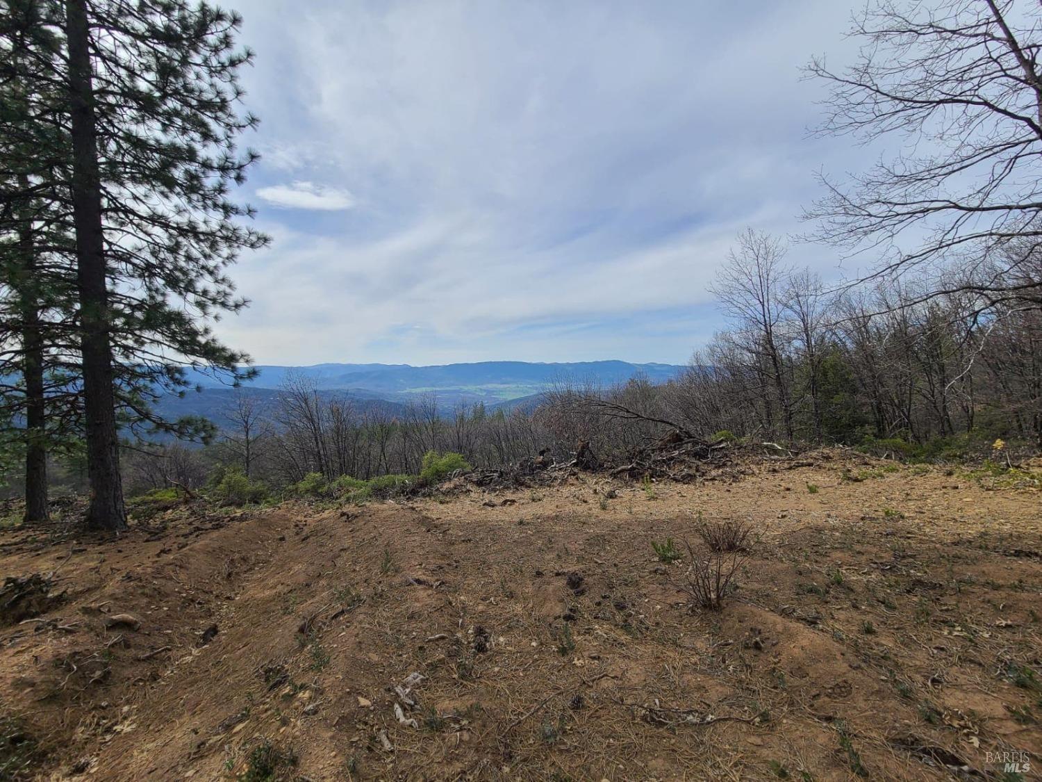 47700 Bentley Ridge Road Covelo CA 95428