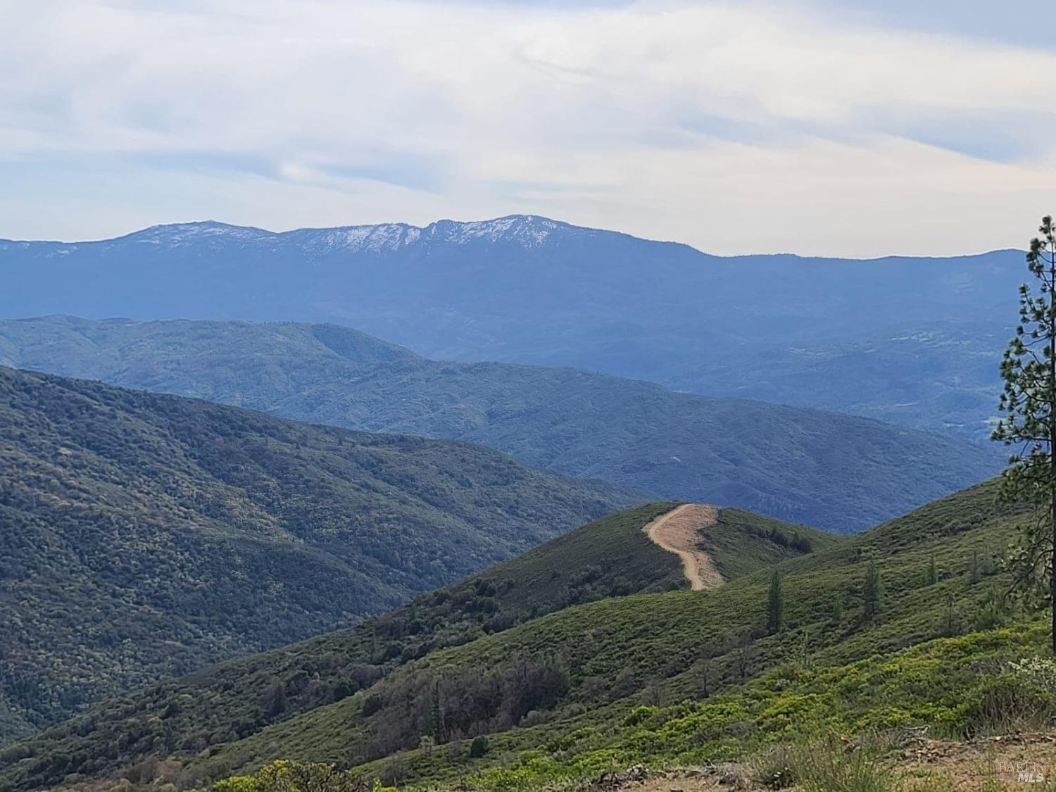 47700 Bentley Ridge Road Covelo CA 95428