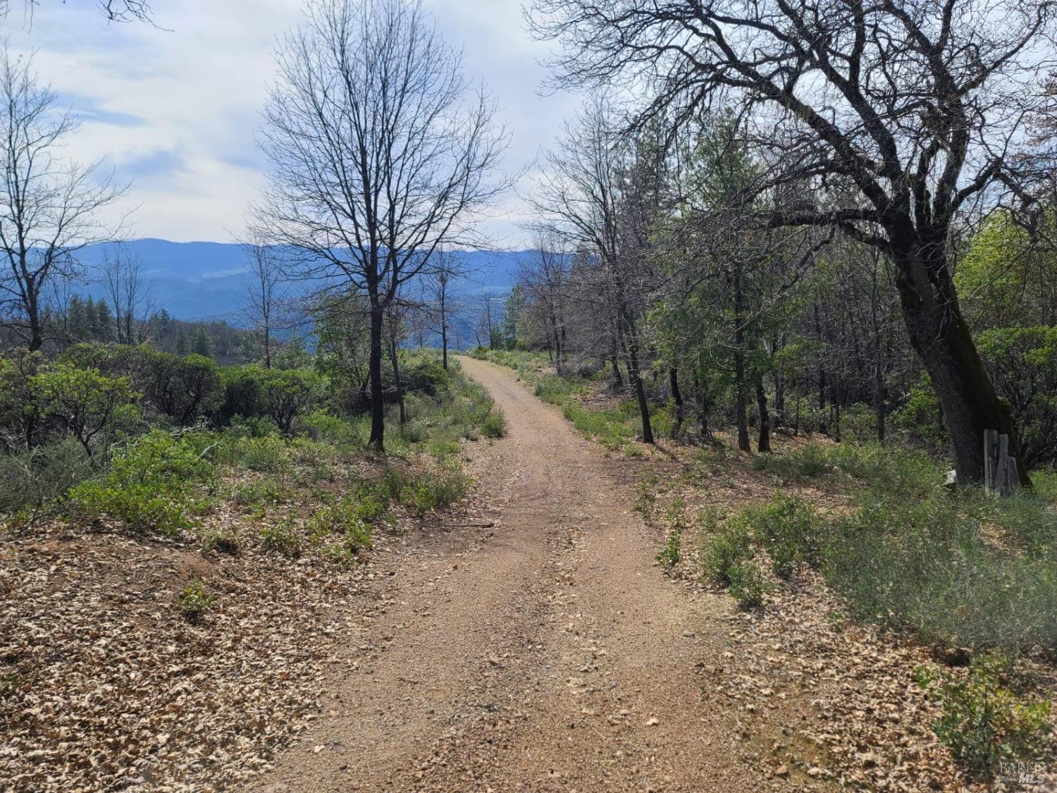 47700 Bentley Ridge Road Covelo CA 95428