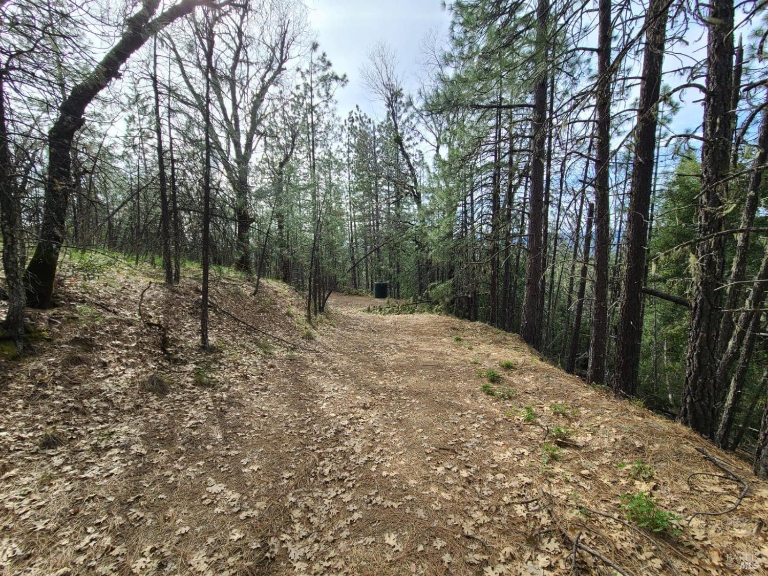 47700 Bentley Ridge Road Covelo CA 95428