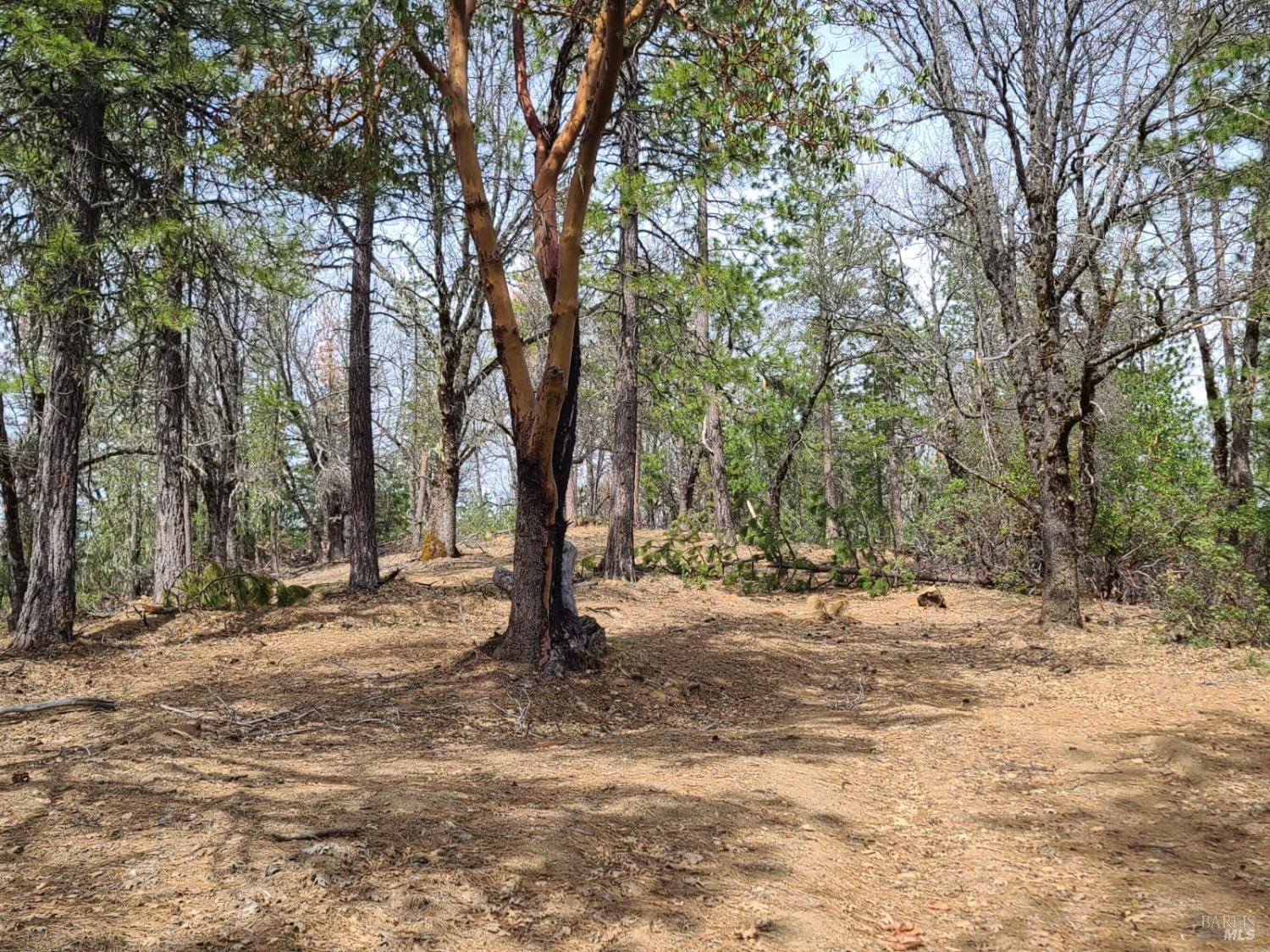 47700 Bentley Ridge Road Covelo CA 95428