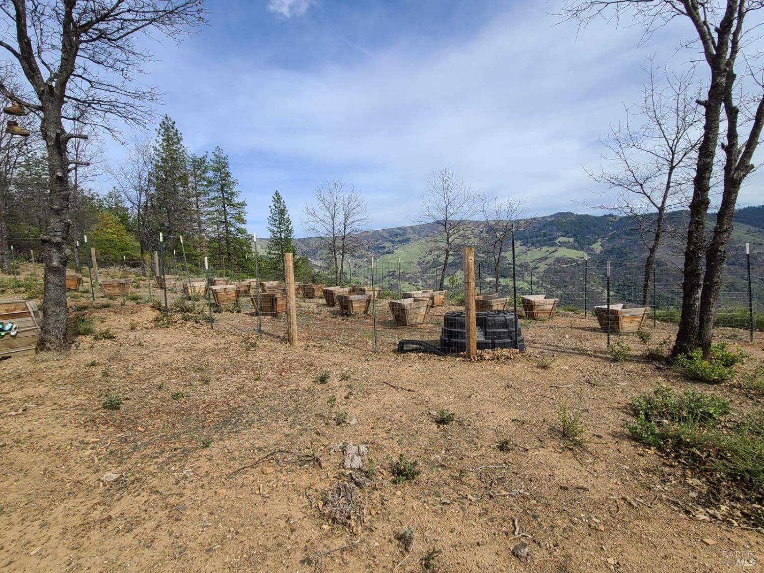 47700 Bentley Ridge Road Covelo CA 95428