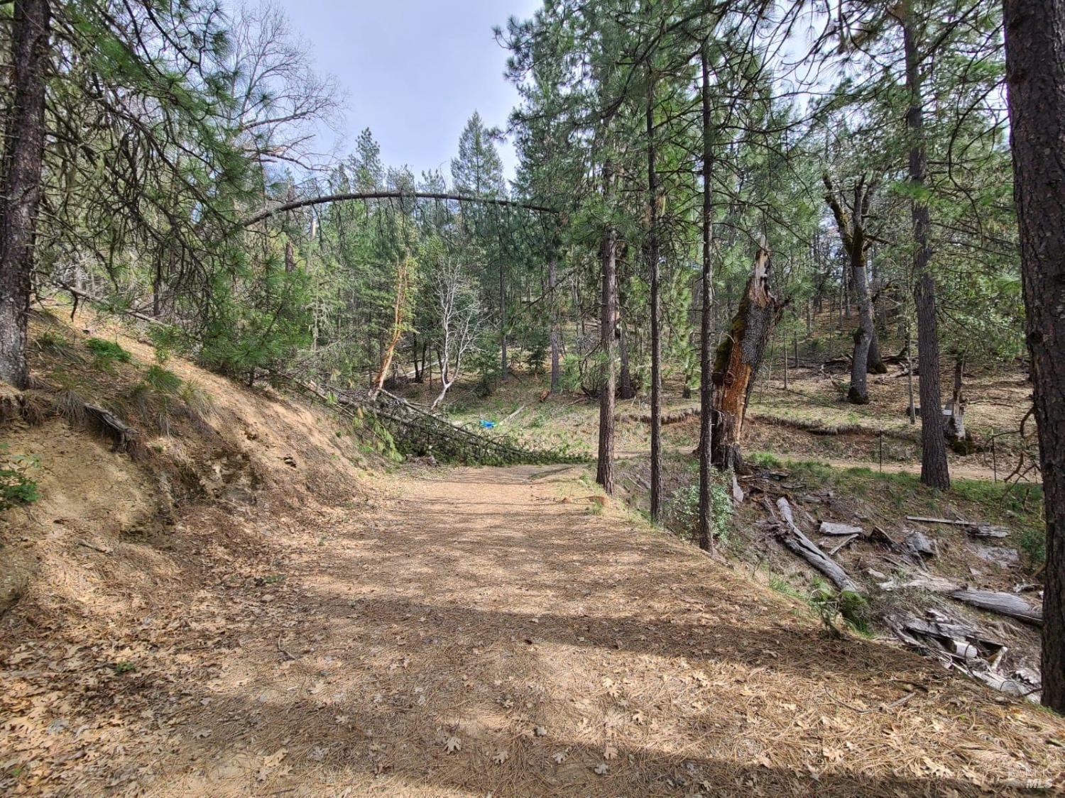 47700 Bentley Ridge Road Covelo CA 95428