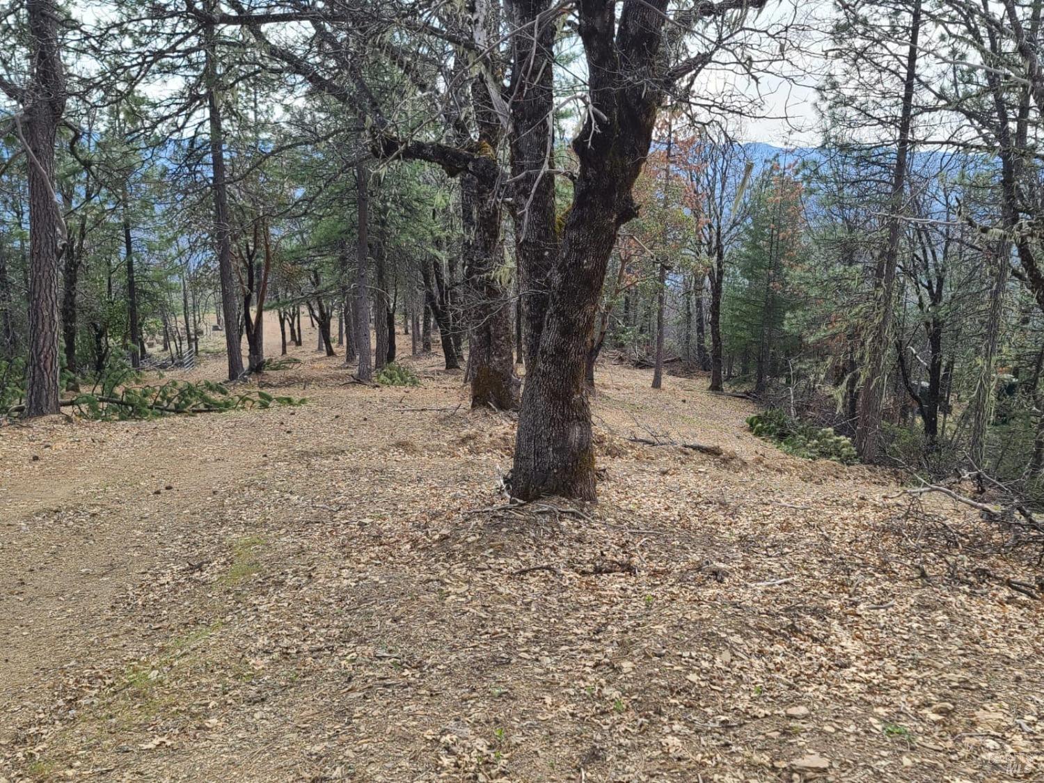 47700 Bentley Ridge Road Covelo CA 95428