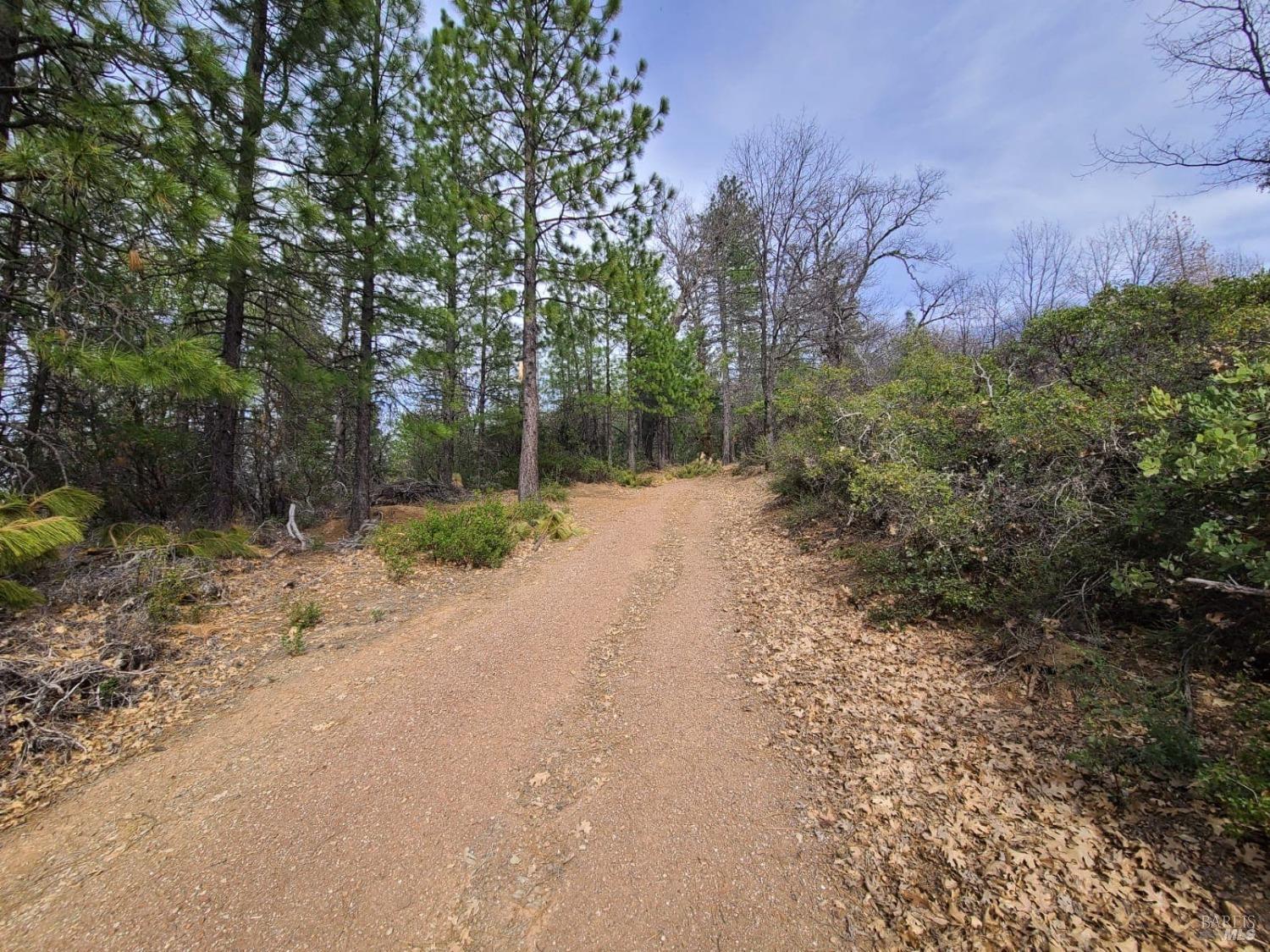 47700 Bentley Ridge Road Covelo CA 95428