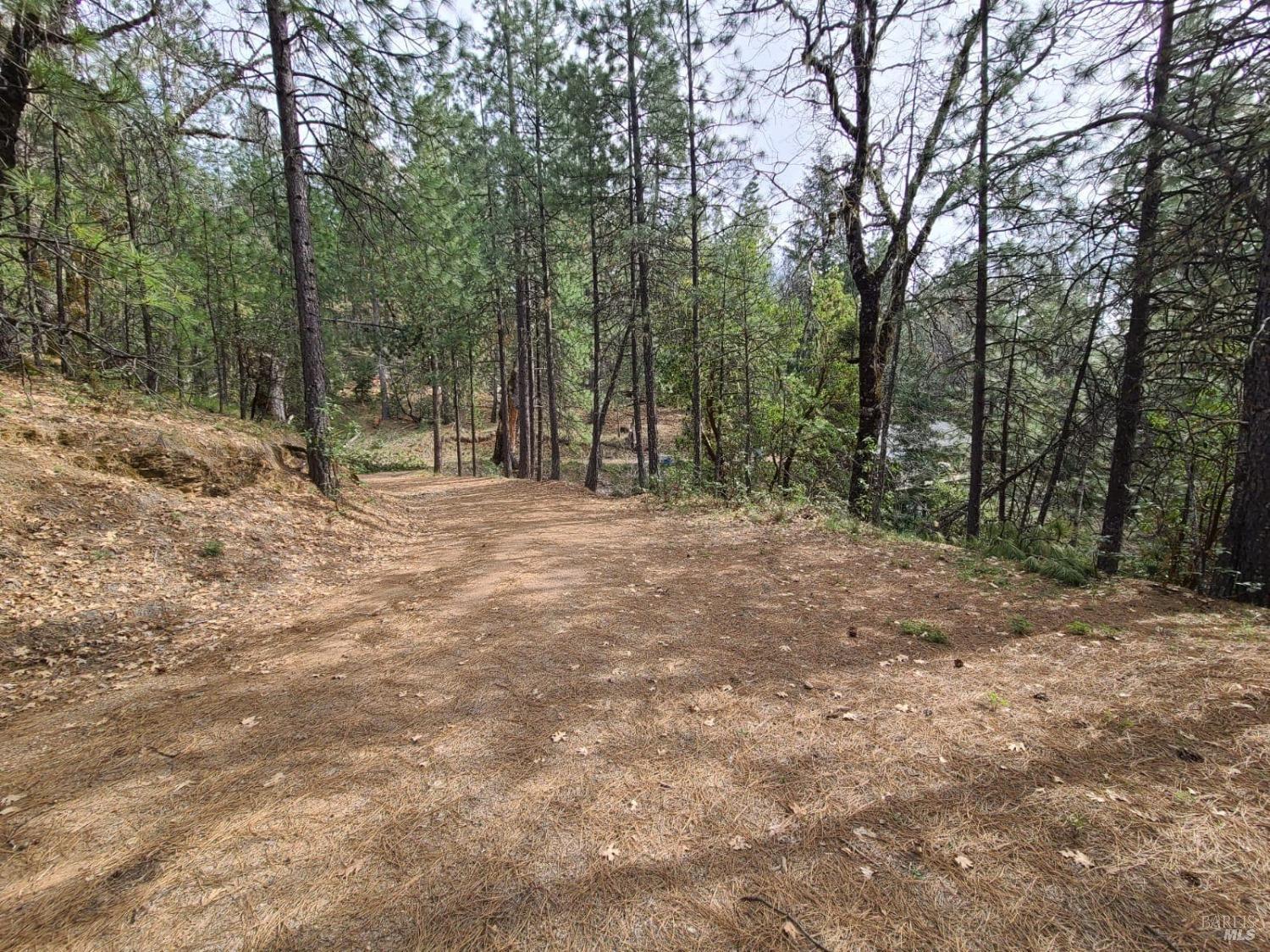 47700 Bentley Ridge Road Covelo CA 95428