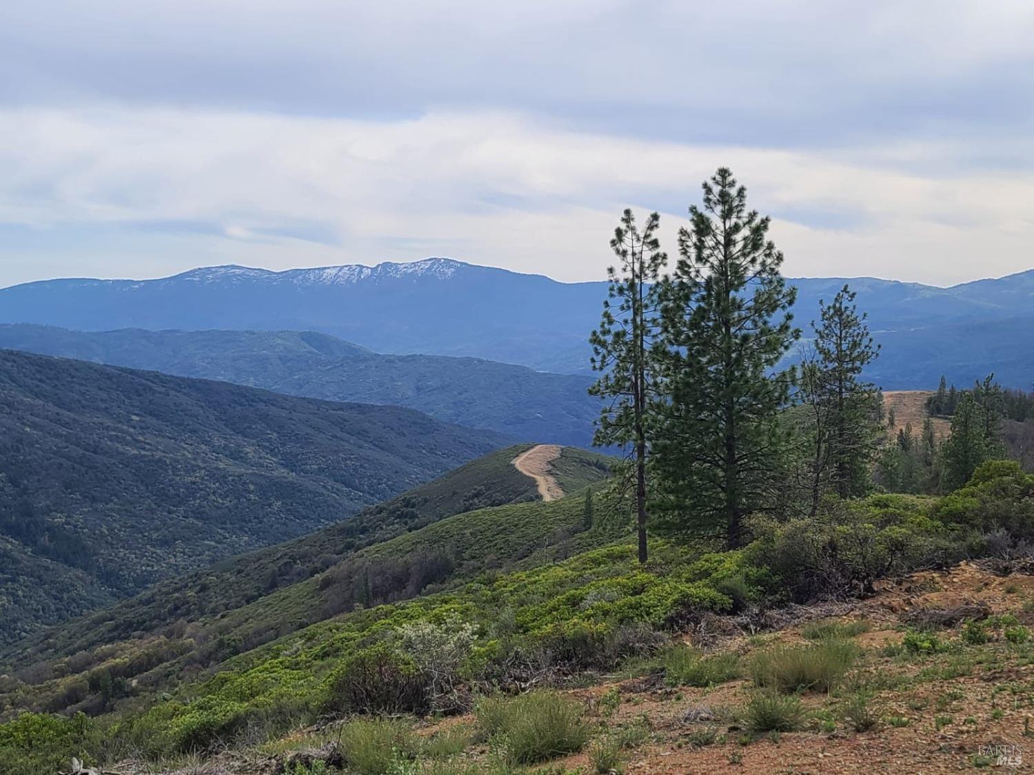 47700 Bentley Ridge Road Covelo CA 95428